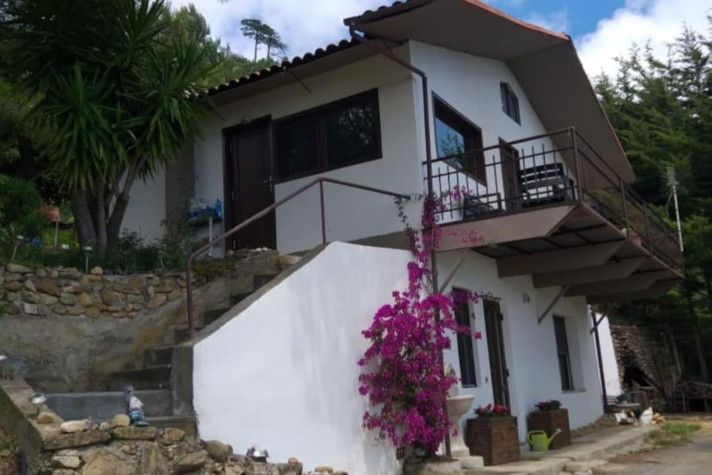 Pensjonat Detached House With Garden And Sea View San Remo Zewnętrze zdjęcie
